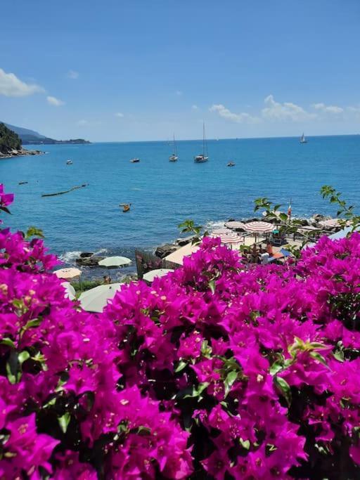 PitelliLa Terrazza Sul Golfo Dei Poeti Con Vista Mareアパートメント エクステリア 写真